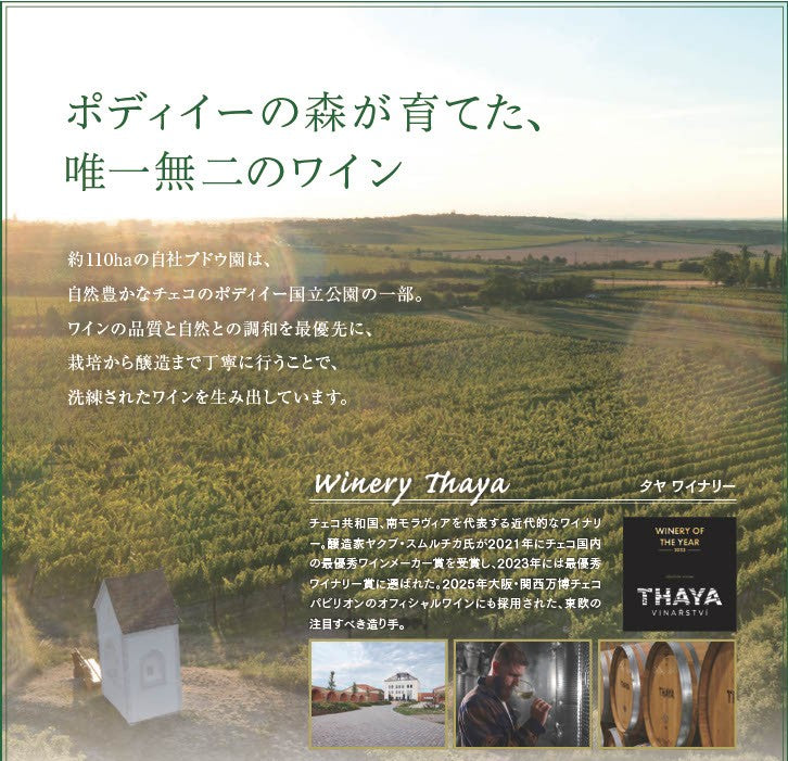 タヤ(THAYA)
