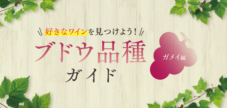 ブドウ品種ガイド - ガメイ編