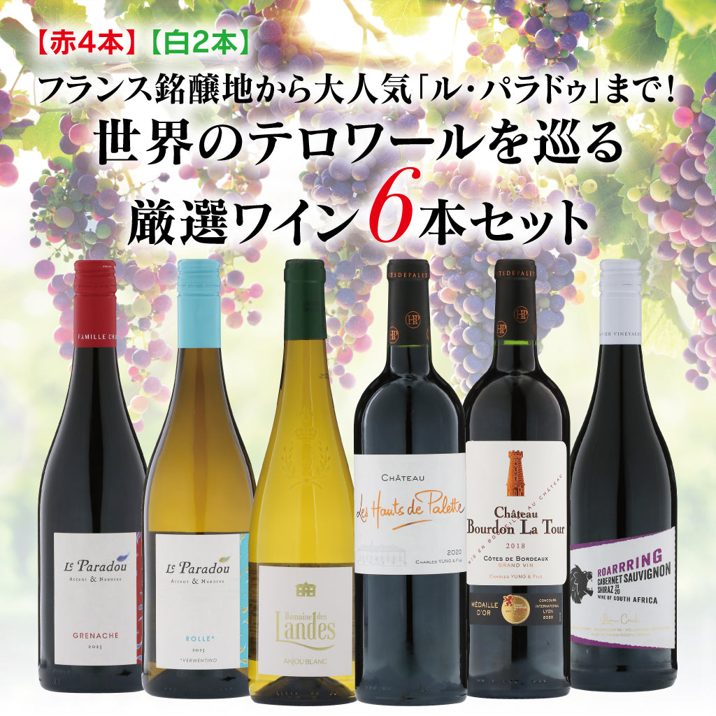 【セット販売】※送料無料！！この品質でこの価格!?毎日に彩りを添える厳選ワイン6本セット